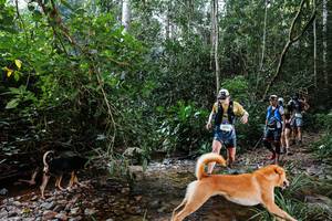 BIB: 
                            <button type="button" onclick="openModal(22345925)" class="btn btn-primary btn-sm float-right btn-popup" data-toggle="modal" data-target=".modal-high-quality">
                        <i class="fas fa-shopping-cart"></i> Add to Cart
                    </button>
                                            <button type="button" onclick="isThisMe(22345925, true)" class="btn btn-success btn-sm float-right btn-popup btn-isme hidden" data-toggle="tooltip" data-placement="bottom" title="นี่คือรูปของคุณใช่ไหม คลิกที่นี่เพื่อเอาเข้าอัลบั้ม">
                        <i class="fas fa-plus"></i> Add to album
                    </button>
                    <button type="button" onclick="isThisMe(22345925, false)" class="btn btn-warning btn-sm float-right btn-popup btn-isnotme hidden">
                        <i class="fas fa-ban"></i> Remove from album
                    </button>